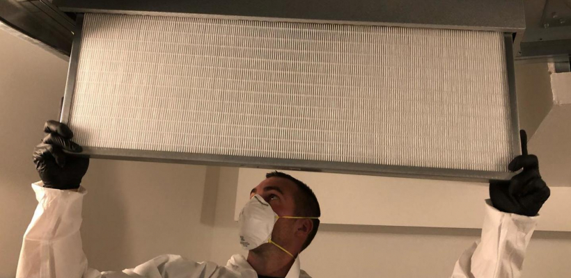 LQ7886174C_picture_0_cropped.jpg